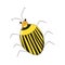 Bright striped yellow beetle in the style of children-s drawings. Vector illustration. Drawing by hand.