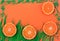 Bright summer banner with tangerines and green grass.