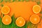 Bright summer banner with tangerines and green grass.