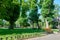 Bright summer city park at midday, sunlight, trees with shadows and green grass