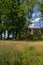 Bright summer landscape. Green grass, meadow, deciduous trees, sun