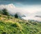 Bright summer scene of Triglav national park, Bohinj lake location. Misty morning view of Julian Alps, Slovenia, Europe. Beauty of