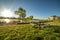 Bright sun beaming down on a tranquil lake scenery under blue sky on a sunny day