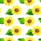 Bright sunflower with green leaves. Seamless pattern. Hand drawn watercolor illustration. Texture for print, fabric