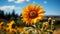 Bright sunflower in meadow, nature beauty in vibrant yellow generated by AI