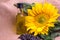 Bright sunflowers with seeds and bottle of oil