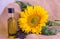 Bright sunflowers with seeds and bottle of oil