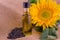 Bright sunflowers with seeds and bottle of oil