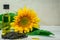 Bright sunflowers with seeds and bottle of oil