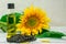 Bright sunflowers with seeds and bottle of oil