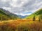 Bright sunny autumn landscape with sunlit gold valley and winding river with green fir trees on mountainside under blue sky.