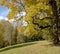 Bright sunny autumn in the mountains. Colourfull landscape. Sigulda, Latvia. Baltic states.