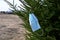 On a bright sunny day, a disposable medical mask hangs on a tree branch.