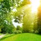 Bright sunny day in park. Sun rays illuminate green grass and tr