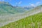 Bright sunny landscape of the Glacier National Park