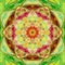 Bright sunny mandala summer picture