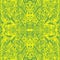 Bright sunny psychedelic trippy abstract mandala with original patterns, juicy contour green on a yellow background.