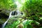 Bright sunrise shining through the branches of tropical trees on the waterfall and lush plant. Pure ancient tropical forest in