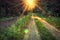 Bright sunrise with vivid sunbeams over forest path. Green forest in the spring morning. Natural nature background.