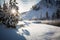 Bright sunshine peaks through the snowy pine trees in Yellowstone