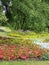 Bright sweet colorful flowerbeds and field at Stanley Park Perennial Garden, 2019