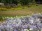 Bright sweet colorful flowerbeds and field at Stanley Park Perennial Garden, 2019