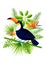 Bright toucan bird with tropical leaves and flowers - for Your summer design 2