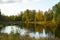 Bright trees on lake shore, Karelia, Russia