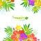 Bright tropical flowers vector summer frame