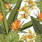 Bright tropical summer greenery floral seamless pattern. Exotic strelitzia bird of paradise orchid phalaenopsis flowers.