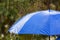 Bright umbrella under rain on street