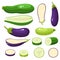 Bright vector illustration of colorful eggplant, zucchini.
