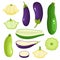 Bright vector illustration of colorful eggplant, zucchini, patisson