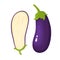Bright vector illustration of fresh eggplants isolated on white.