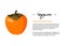 Bright vector illustration of whole persimmon. Fresh cartoon fruit design template for article or recipe with hand