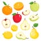 Bright vector set of colorful apple, pear, lemon, orange.