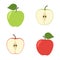 Bright vector set of colorful half and whole of juicy apple. Fresh cartoon apples on white background.