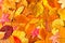 Bright, Vibrant and Cheerful Autumn Leaves Background