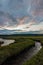 Bright vibrant cloudy sunset over a thick dark wetland full of reeds tall grass and streams of water