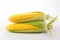 A bright and vibrant stock photo of fresh corn on a pristine white background