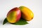 A bright and vibrant stock photo of fresh, Mango on a pristine white background