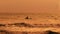 Bright view of wave runner cutting up the ocean with two men on it. Picture of Balinese sunset with brown water and sky