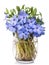 Bright violet wild periwinkle flower bouquet