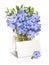 Bright violet wild periwinkle flower bouquet with a blanc