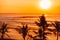 Bright warm sunset or sunrise with ideal ocean waves for surfing and coconut palms