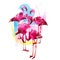 Bright watercolor flamingos