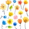 Bright watercolor flowers in naive style