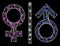 Bright Web Net Toilet Gender Symbol with Light Spots