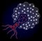 Bright Web Network Virus Infecting Cell with Lightspots