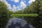Bright white clouds and cypress trees reflected on calm water of Fisheating Creek, Florida.